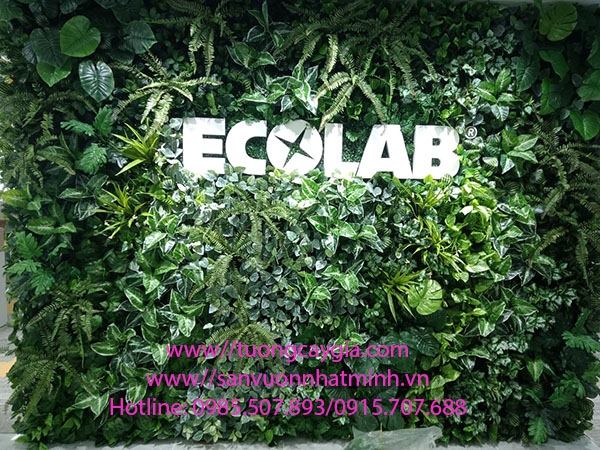 thi-cong-vach-tuong-cay-nhan-tao-cho-van-phong-cong-ty-ecolab-tp-hcm