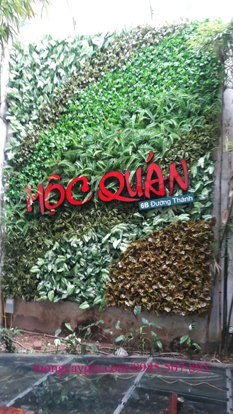 trang-tri-va-ch-tuo-ng-cay-ngoa-i-sa-nh-nha-ha-ng-mo-c-qua-n
