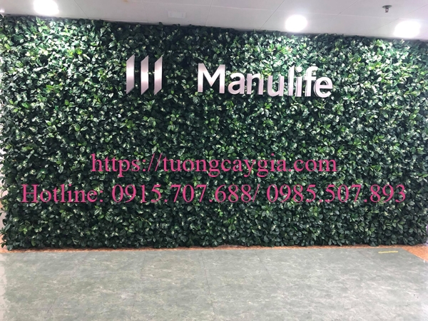 lap-dat-toan-bo-he-thong-tuong-cay-gia-tai-toa-nha-manulife
