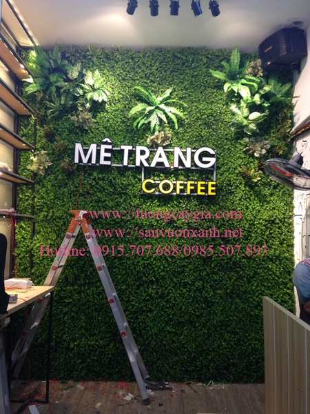 tuo-ng-co-die-m-cay-ca-phe-me-trang