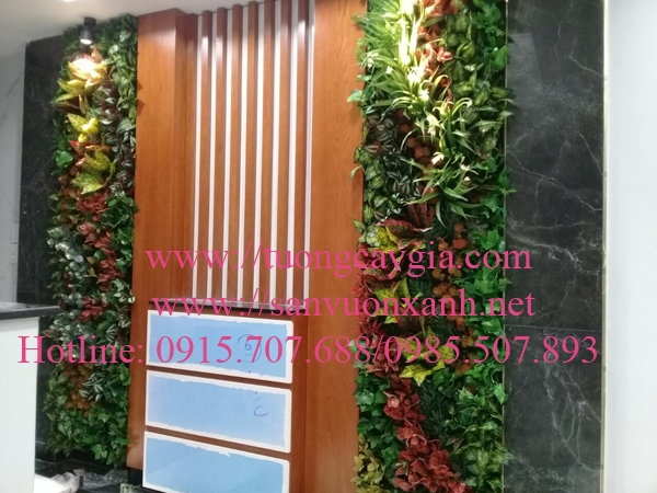 tuo-ng-cay-van-pho-ng-ta-i-ho-chi-minh