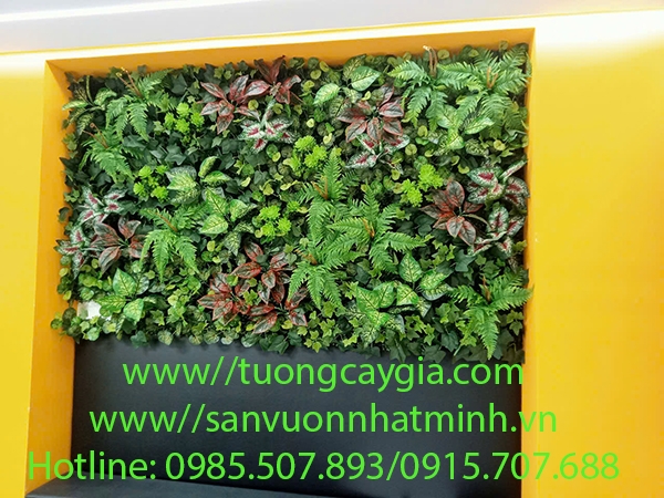thi-cong-vach-tuong-cay-tai-van-phong-cong-ty-starworld-duong-13-huu-tho-khu-dan