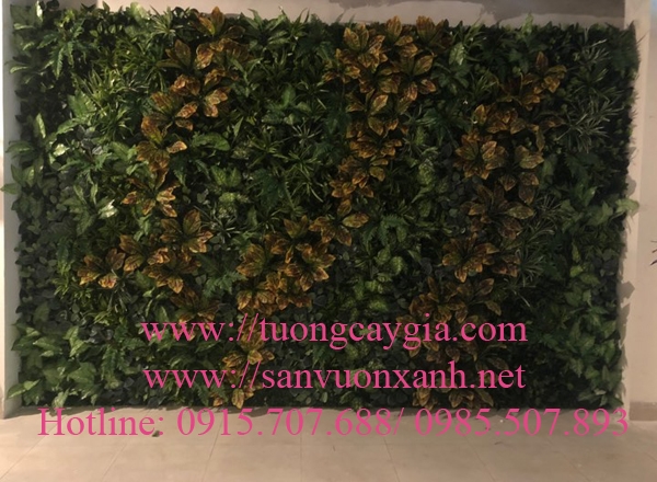 vach-cay-gia-165-ba-trieu-ha-noi