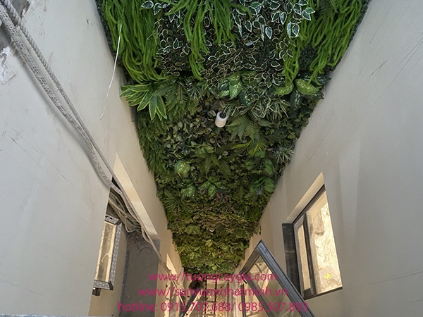 vach-tuong-cay-khu-gieng-troi-tai-ngo-38-hoang-cau-ha-noi