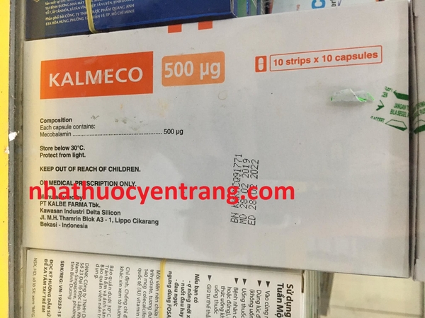 kalmeco-500mcg