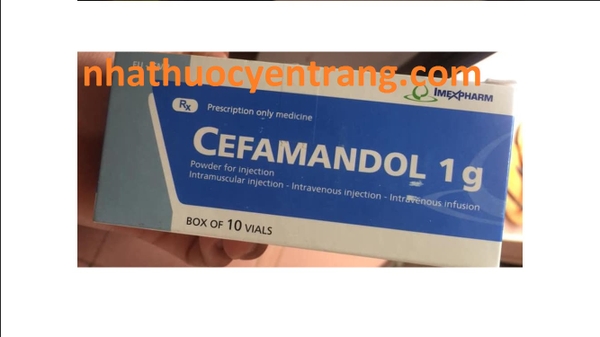 cefamandol-1g