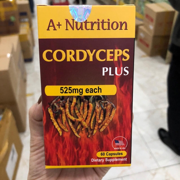 cordyceps-plus