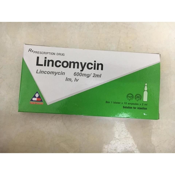 lincomycin-600mg-2ml