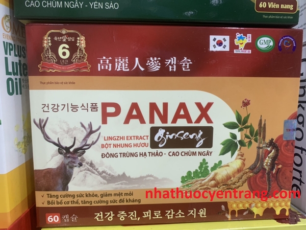 panax-ginseng
