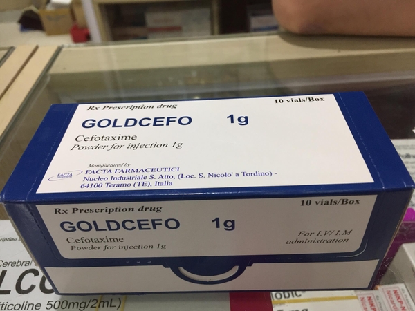 goldcefo-1g