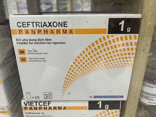 ceftriaxone-panpharma-1g