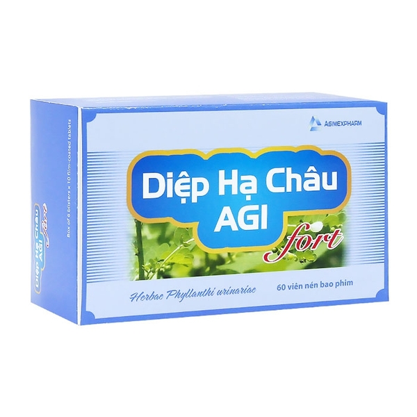 diep-ha-chau-agi-fort