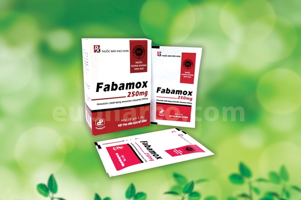 fabamox-250mg