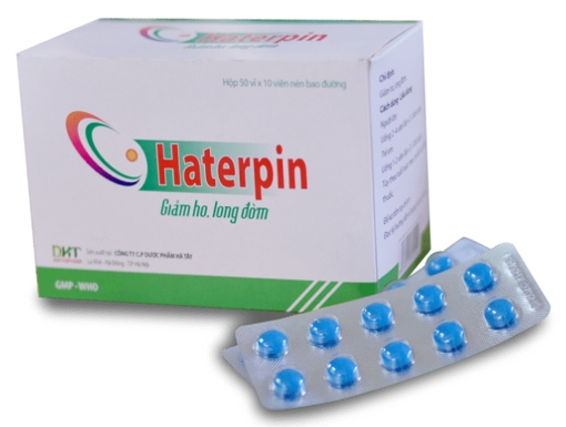 haterpin-vien-bao-duong