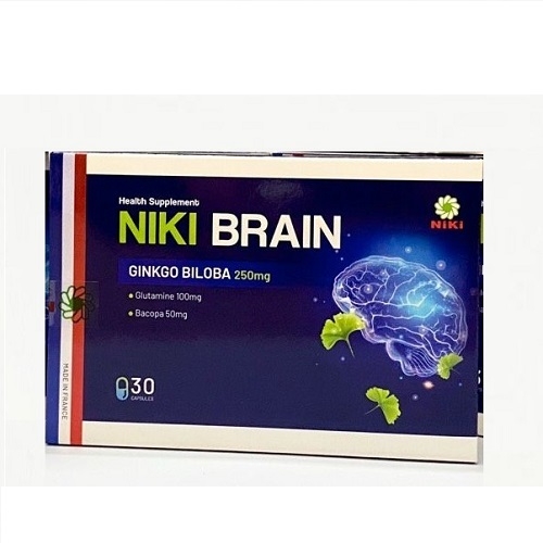 niki-brain