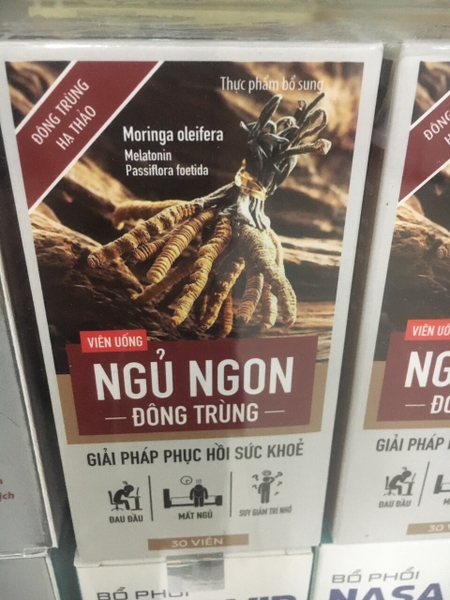 ngu-ngon-dong-trung