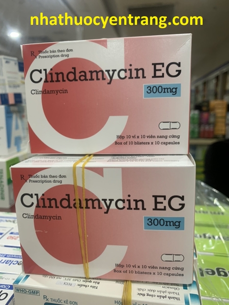 clindamycin-eg-300mg