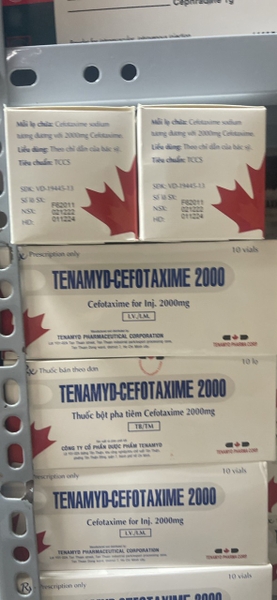 tenamyd-cefotaxime-2g