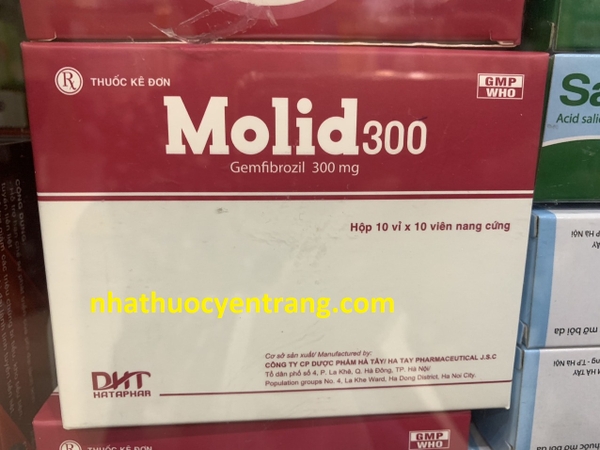 molid-300