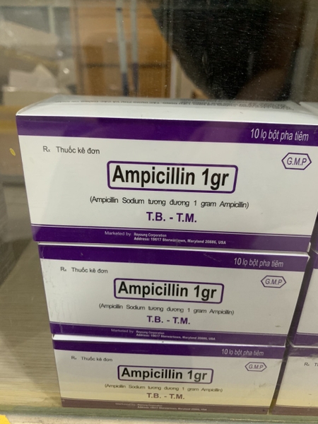 ampicillin-1g-my