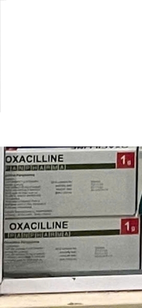 oxacilline-1g