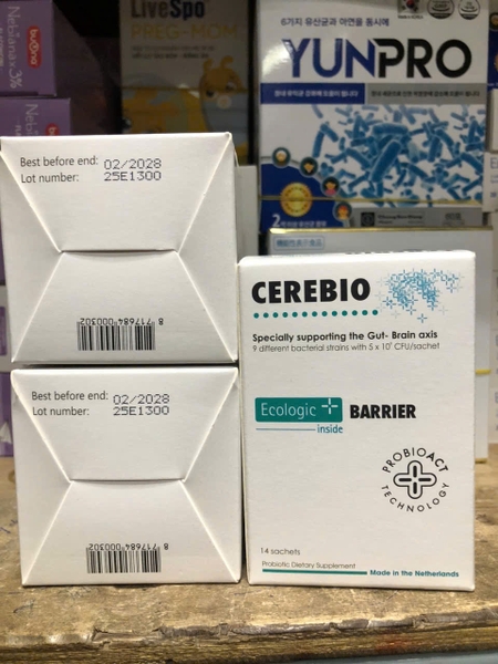 cerebio