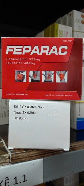 feparac-vi