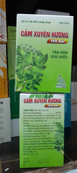 cam-xuyen-huong-yen-bai-vien
