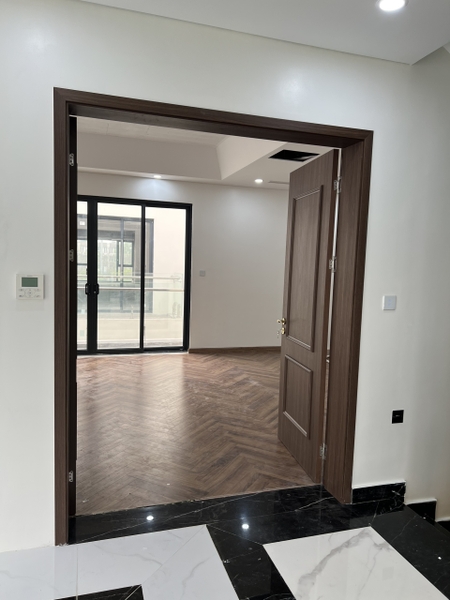 mẫu cửa 2 cánh đẹp