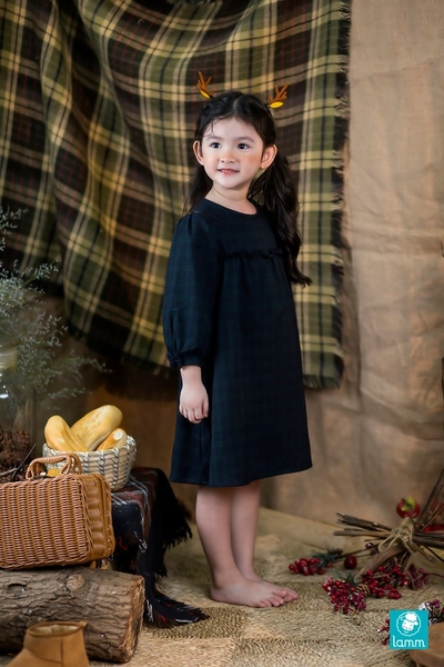 Váy thô tay bồng bèo ngang ngực kẻ xanh đen SCOT