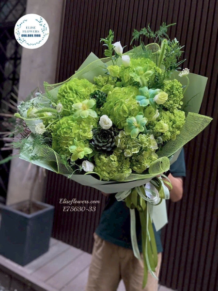 Hoa cẩm tú cầu xanh lá tại Hà Nội - Elise Flowers