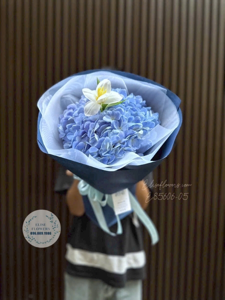 Cẩm tú cầu tặng người yêu - Elise Flowers
