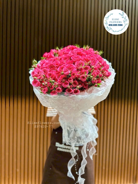 Cận cảnh những bông hoa hồng chùm Sophia | Elise Flowers