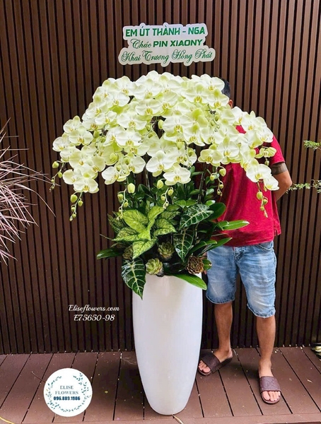 Lan hồ điệp khai trương sang trọng tại Hà Nội | Elise Flowers