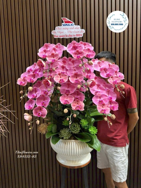 Chậu lan hồ điệp tặng sếp VIP đẹp tại Hà Nội | Elise Flowers