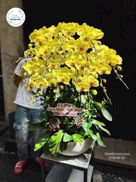 Điện Hoa Tươi Hà Nội - Elise Flowers