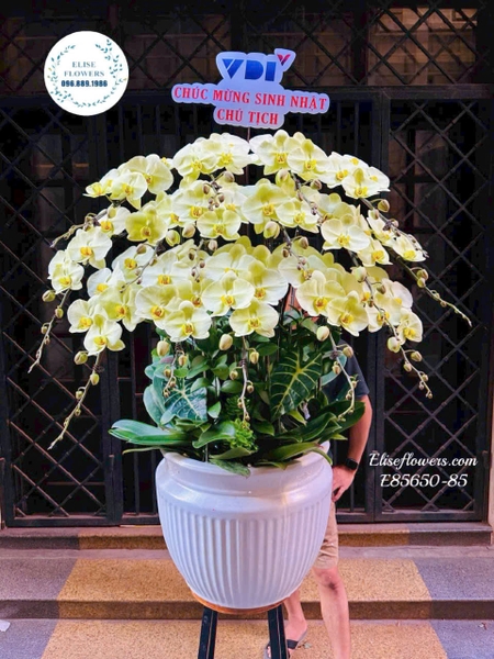 Hoa chúc mừng ngày doanh nhân Việt Nam - Elise Flowers