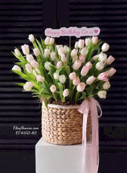 Giỏ Hoa Tulip Hồng Pastel Đẹp Tại Hà Nội | Elise Flowers