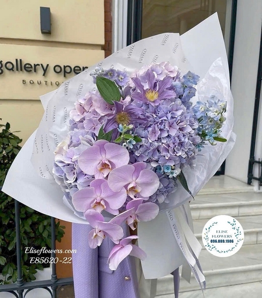 Hoa cẩm tú cầu tím tặng người yêu - Elise Flowers