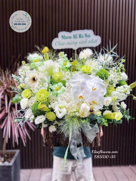 Hoa Ngày Doanh nhân Việt Nam tặng sếp Hà Nội | Elise Flowers