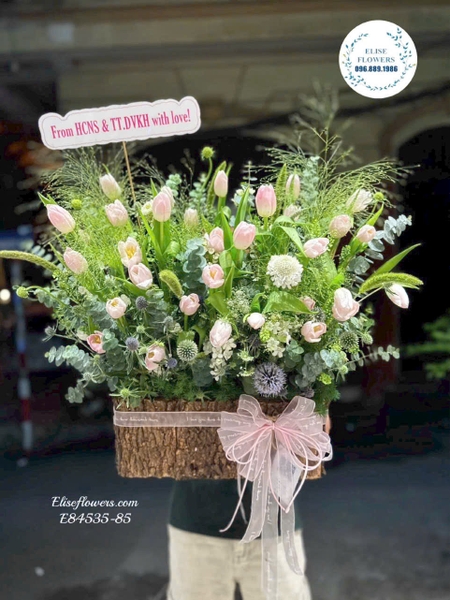Chậu Hoa Chúc Mừng Ngày Truyền Thống Luật Sư ở Hà Nội - Elise Flowers
