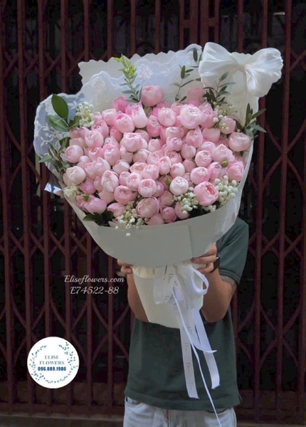 Hoa hồng chùm Plume màu hồng pastel đẹp tại Hà Nội | Elise Flowers