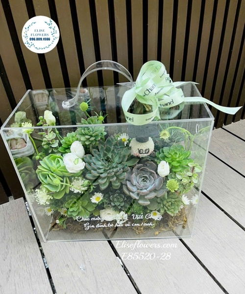 Hoa tốt nghiệp Hà Nội.  Hoa tốt nghiệp sen đá- gấu cử nhân . Mẫu hoa tốt nghiệp đẹp, độc, lạ 2026