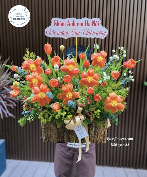 Hoa Tulip Cam Hà Nội. Mua Hoa Tulip Cam Hà Nội | Elise Flowers