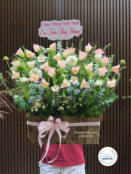 Cận cảnh hoa tulip hồng tặng 20/10 | Elise Flowers