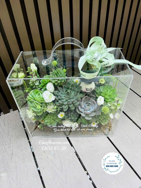 Hộp Hoa Mica Sen Đá Tặng Tốt Nghiệp,Sinh Nhật Ở Hà Nội. |Elise Flowers