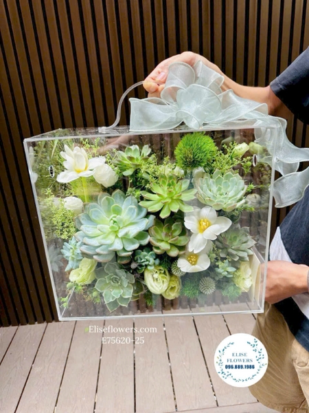 Hộp hoa sen đá đẹp làm quà tặng ngày 20/10 - Elise Flowers