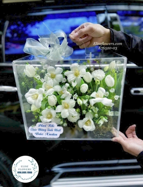 Hộp hoa Mica Tulip Tặng Cô Giáo - Elise Flowers