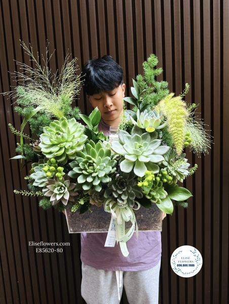 Lẵng hoa sen đá Hà Nội. Lẵng hoa sen đá cao cấp sang trọng tại Hà Nội | Elise Flowers