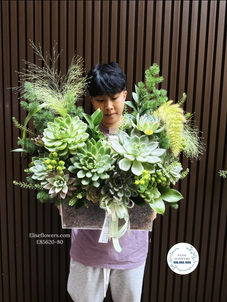 Lẵng hoa sen đá tặng khai trương ở Hà Nội. Hoa khai trương độc đáo tại Hà Nội | Elise Flowers